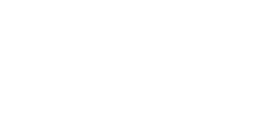 Domenika Sport Logo
